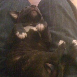 Meet your Posher, Aaron